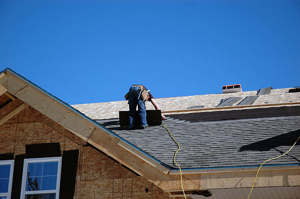 Best Roof Moss and Algae Removal  in North Rock Springs, WY